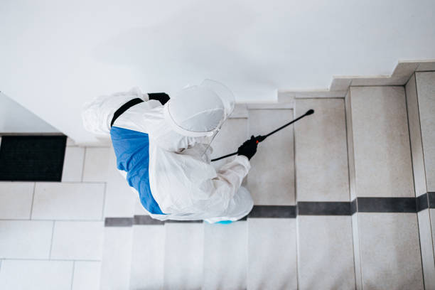 istockphoto 1333278219 612x612 istockphoto 1333278219 612x612
